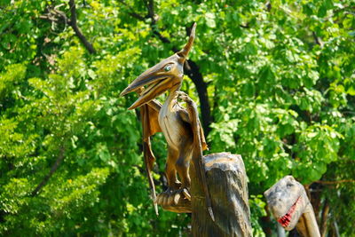 View of a reptile on a tree