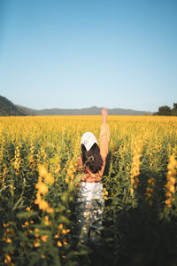 Scenic view of yellow flowering plants on field against clear sky