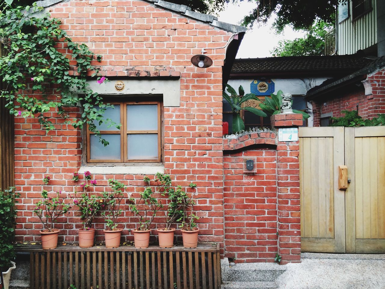 building exterior, architecture, built structure, window, house, brick wall, residential structure, residential building, door, plant, wall - building feature, closed, wall, facade, potted plant, day, outdoors, growth, building, ivy