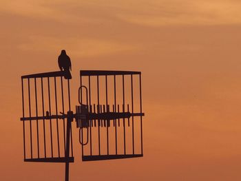 Low angle view of birds in sky