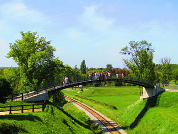 Panoramic shot of trees on field against sky