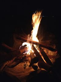 Close-up of bonfire at night