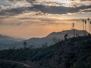 Beautiful view of the hills of hollywood in the summer at sunset.