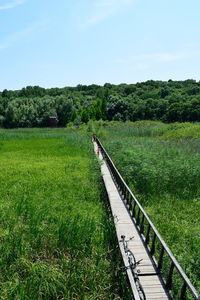 Railroad tracks on field against sky