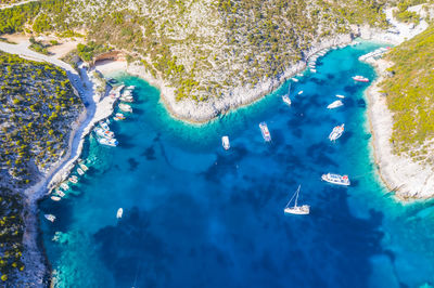 High angle view of coral in sea