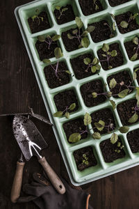 High angle view of food on table