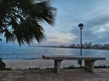 Palm trees by sea against sky