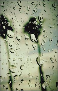 Close-up of water drops on glass