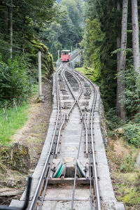 Railroad tracks amidst trees in forest