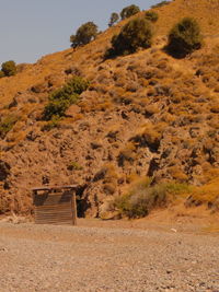Tree on field by mountain against sky