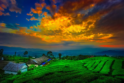 Scenic view of agricultural field against sky during sunset