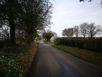 Road amidst trees against sky