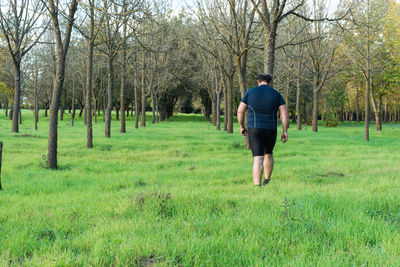 Rear view of a man walking on grassland
