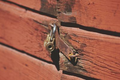 Close-up of padlock hanging on door