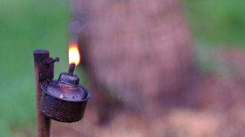 Close-up of lit candles on metal