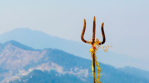 Trishul, trident of lord shiva