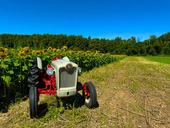 agriculture