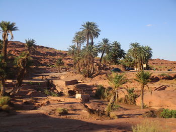 Scenic view of desert against sky