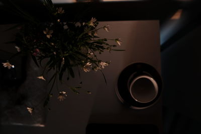 High angle view of coffee and potted plant on table