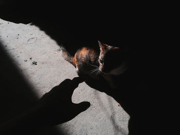 Close-up of hand on shadow