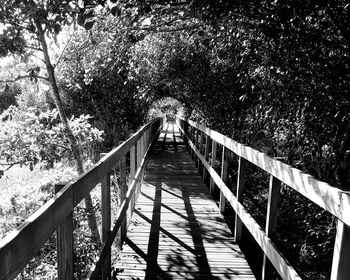 Footbridge over trees in forest