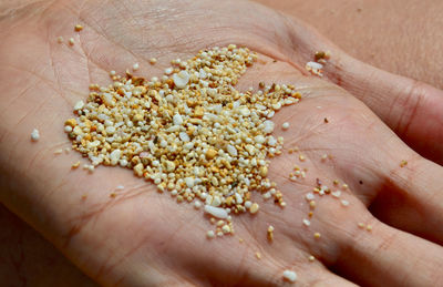 Close-up of hand holding bread