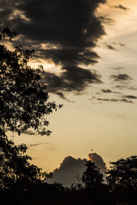 Low angle view of trees against cloudy sky