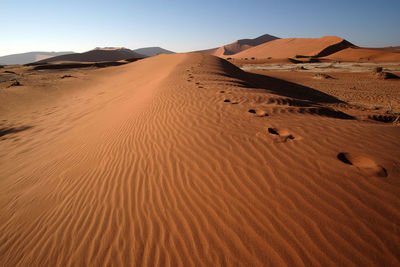 Namib national park, namibia