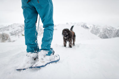 Low section of person with dog on snow