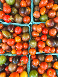 Full frame shot of small tomatoes
