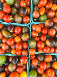 Full frame shot of tomatoes