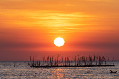Oyster farm in the sea and beautiful sky sunset background , sun and cloud landscape nature thailand