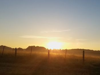 Scenic view of field against sky during sunset
