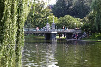 Scenic view of park by lake