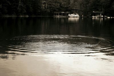 Reflection of trees in water