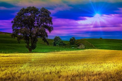 Scenic view of field against sky