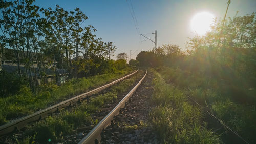 Railroad track amidst trees against sky