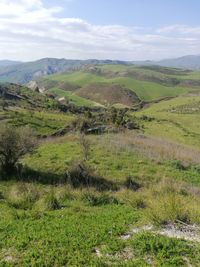 Scenic view of landscape against sky