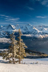 Scenic view of snow covered mountains against sky