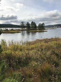 Scenic view of lake against sky