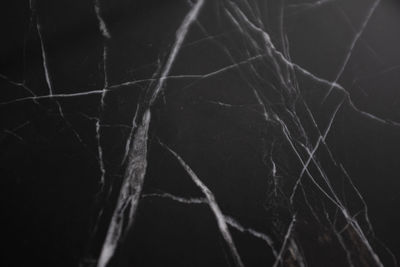 Full frame shot of dry leaf against black background