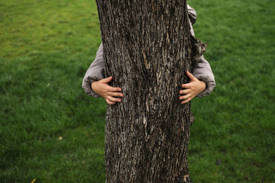 Child embracing tree in park