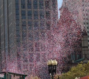 Flower trees against building