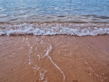 Scenic view of beach