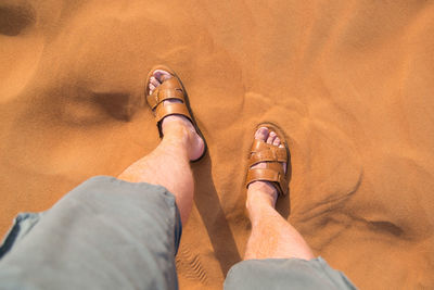 Low section of man standing on desert