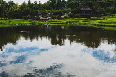 Reflection of trees and house in lake