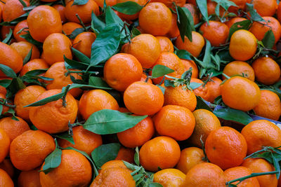 Full frame shot of oranges