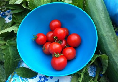 High angle view of tomatoes in bowl on table