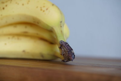 Close-up of bananas on table