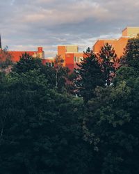 High angle view of trees and buildings against sky during sunset